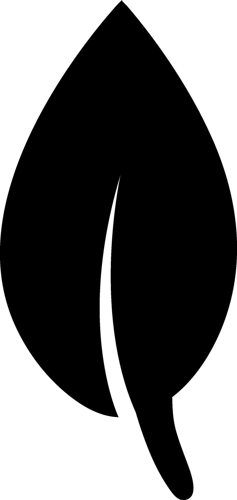 Black leaf on white background. 24841252 Vector Art at Vecteezy