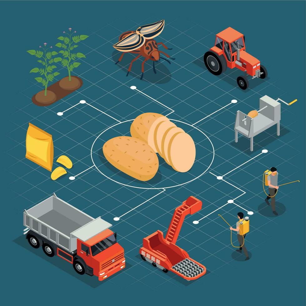 papas fritas producción isométrica diagrama de flujo vector