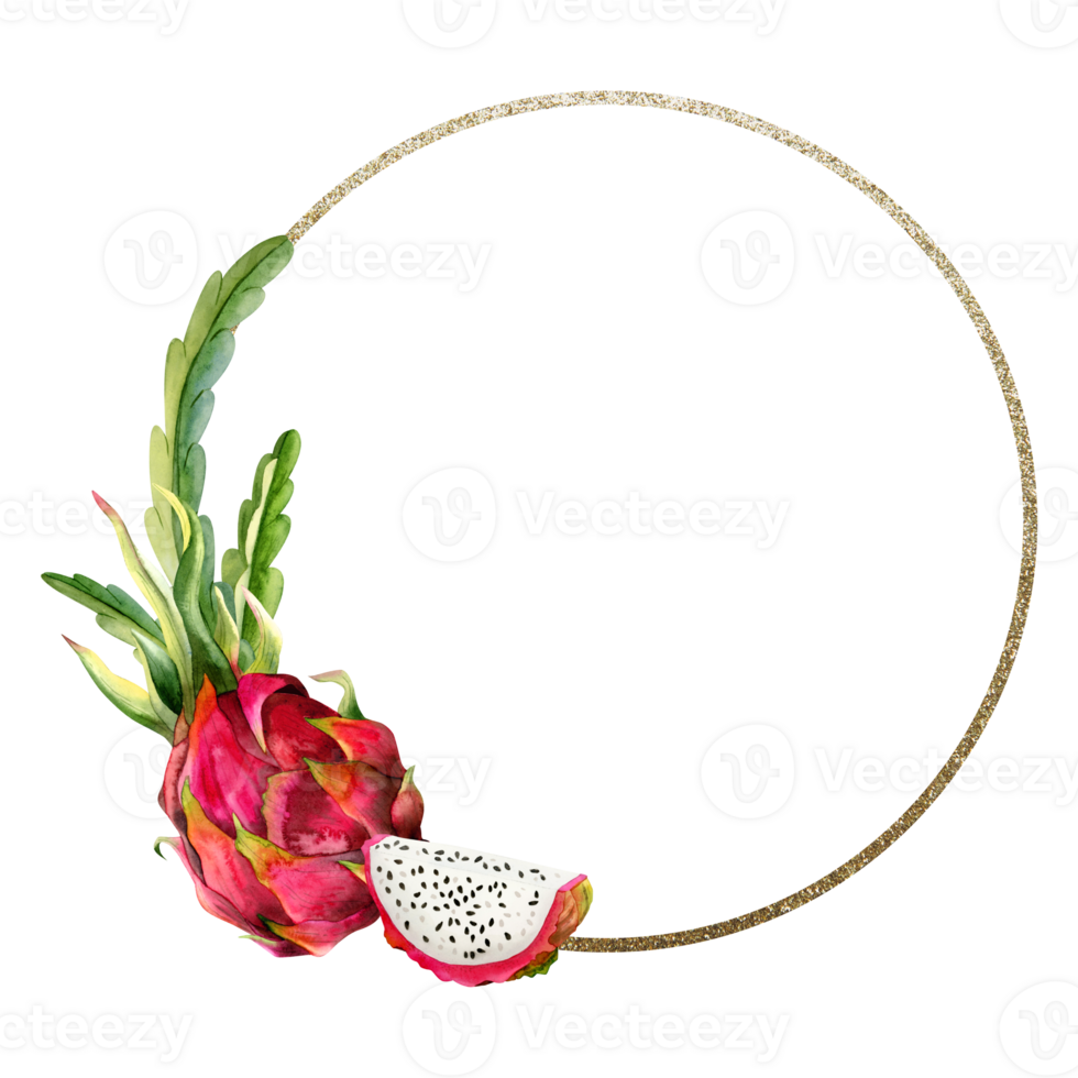Gold round frame with watercolor pink dragon fruit slices and cactus leaves for stickers, sale coupons or wedding invitation png