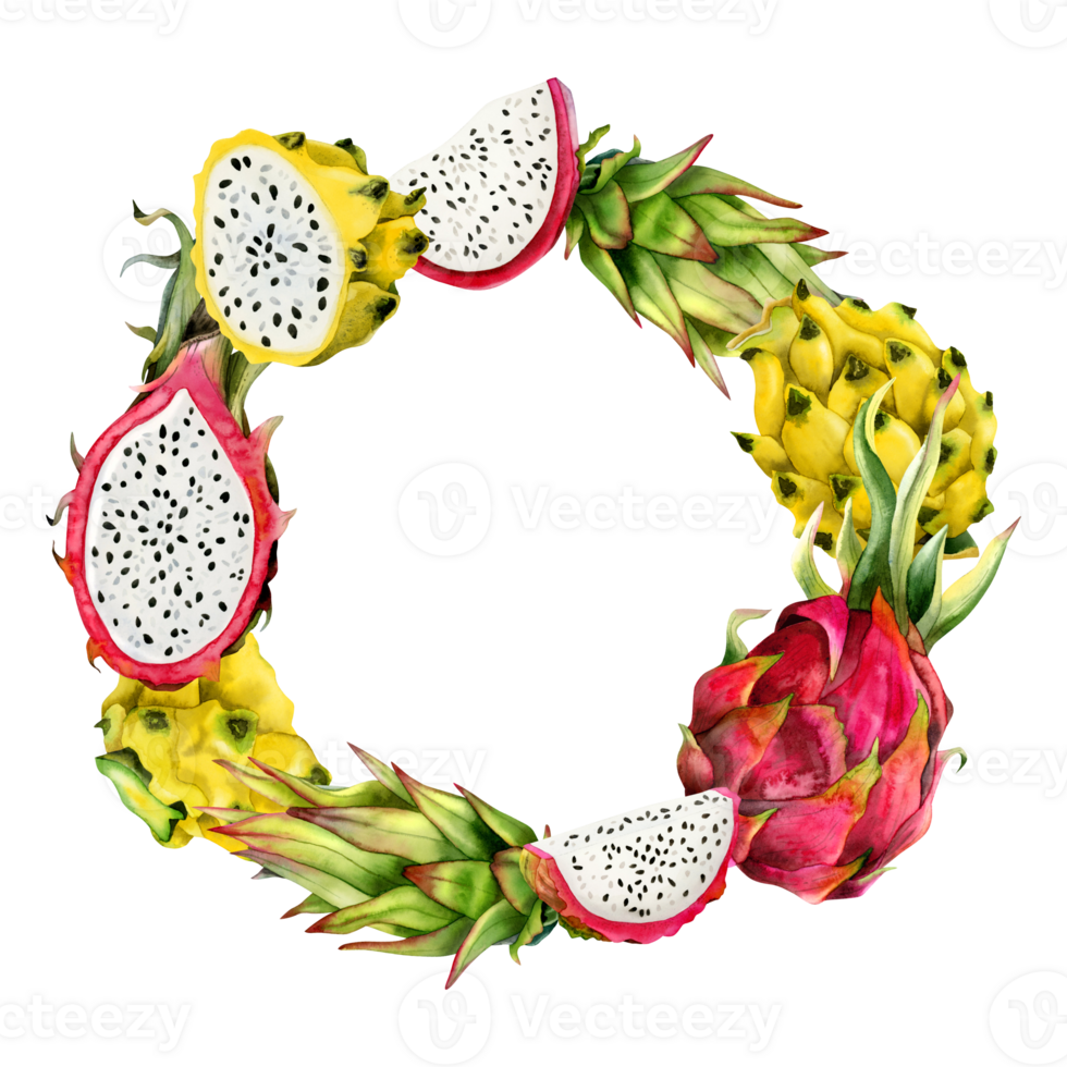 pitaya ronde krans kader met waterverf roze geel en groen draak fruit en plakjes voor stickers, etiketten, uitverkoop kortingsbonnen of bruiloft uitnodiging png