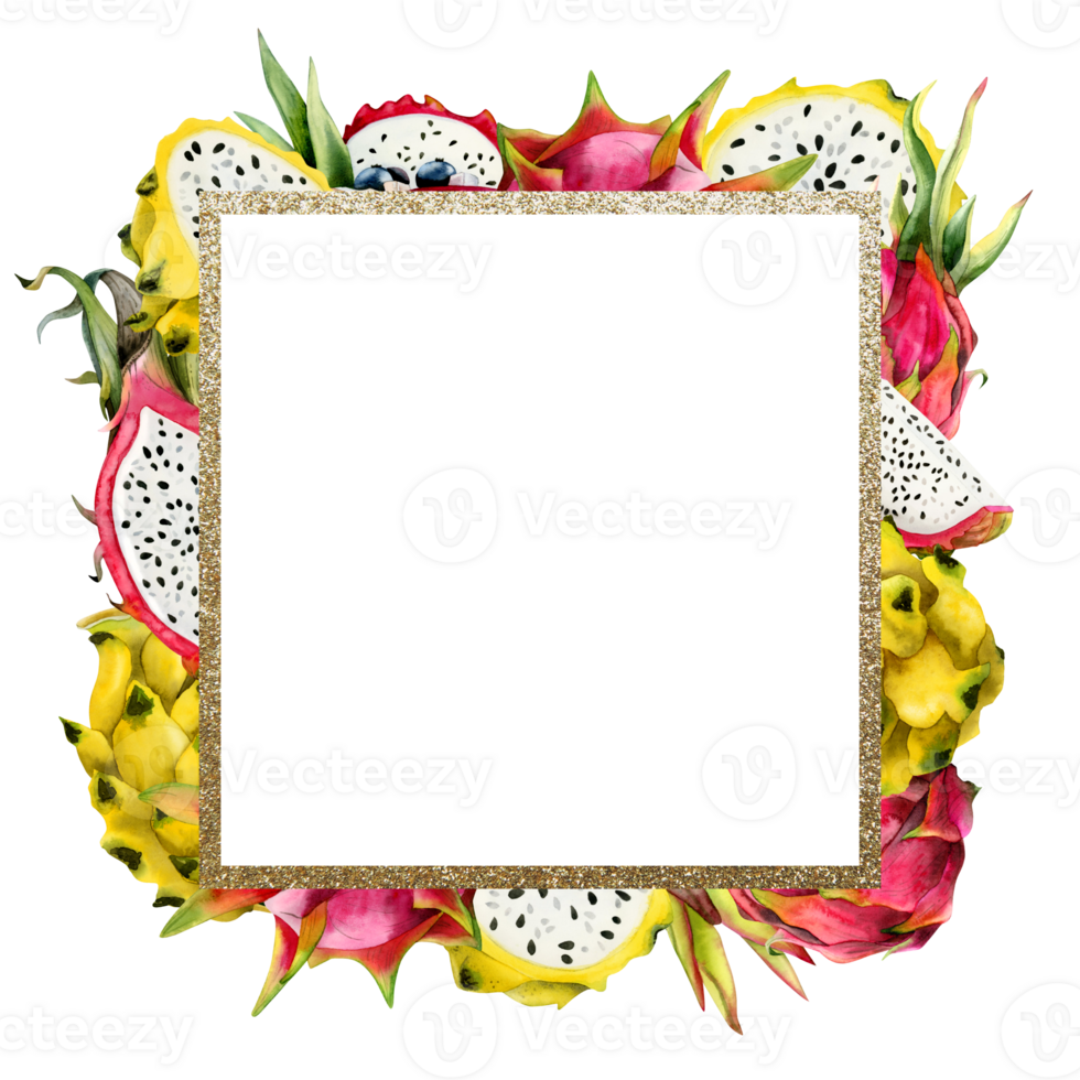 Square gold frame with pitaya in Red pink and yellow colors of dragon fruits slices with copy space. Watercolor pitahaya illustration. Botanical template for advertisement png