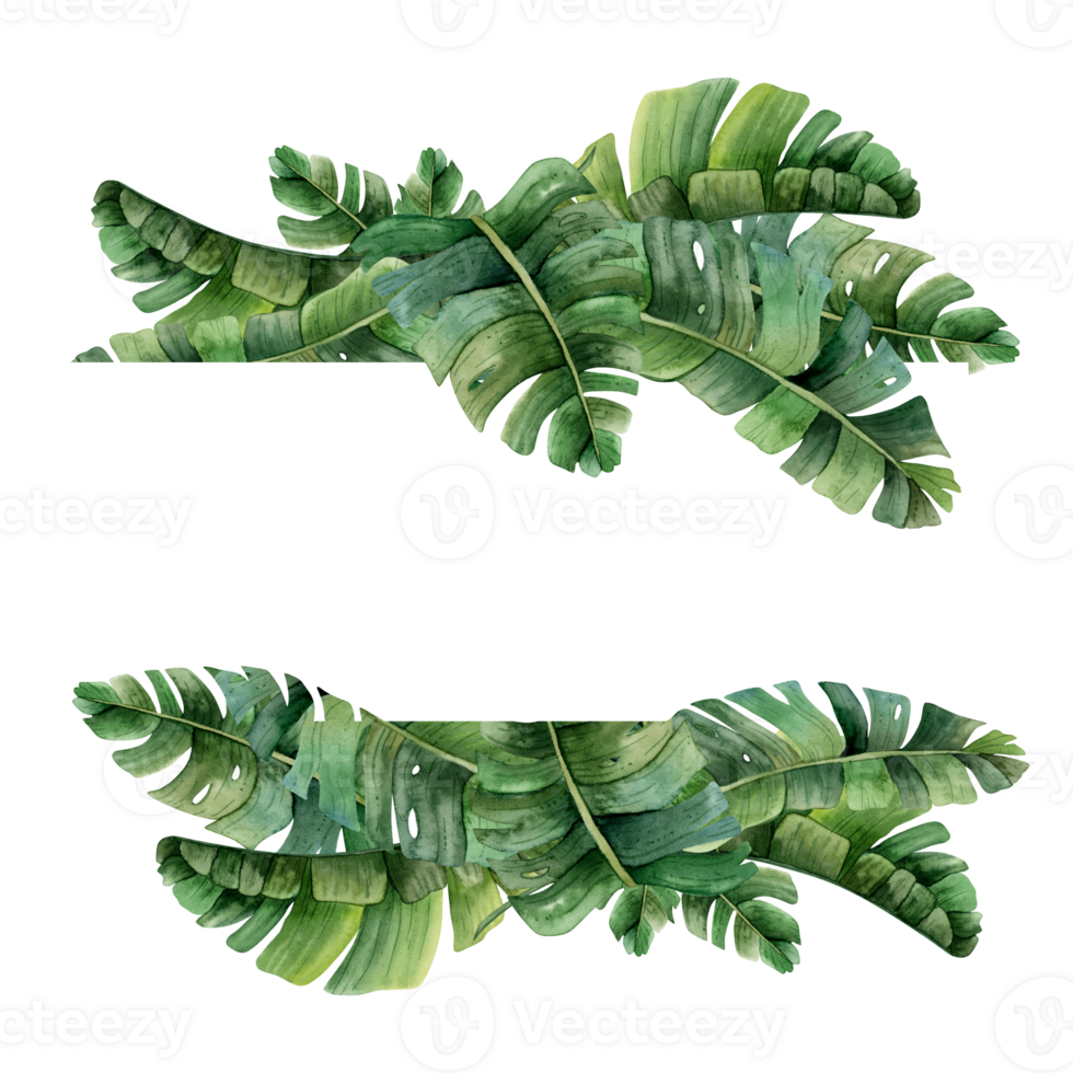 Aquarell Grün tropisch horizontal Banner Vorlage mit Palme Blätter. Urwald Monstera Design zum Karten, Hochzeit Party Einladungen, speichern das Datum png