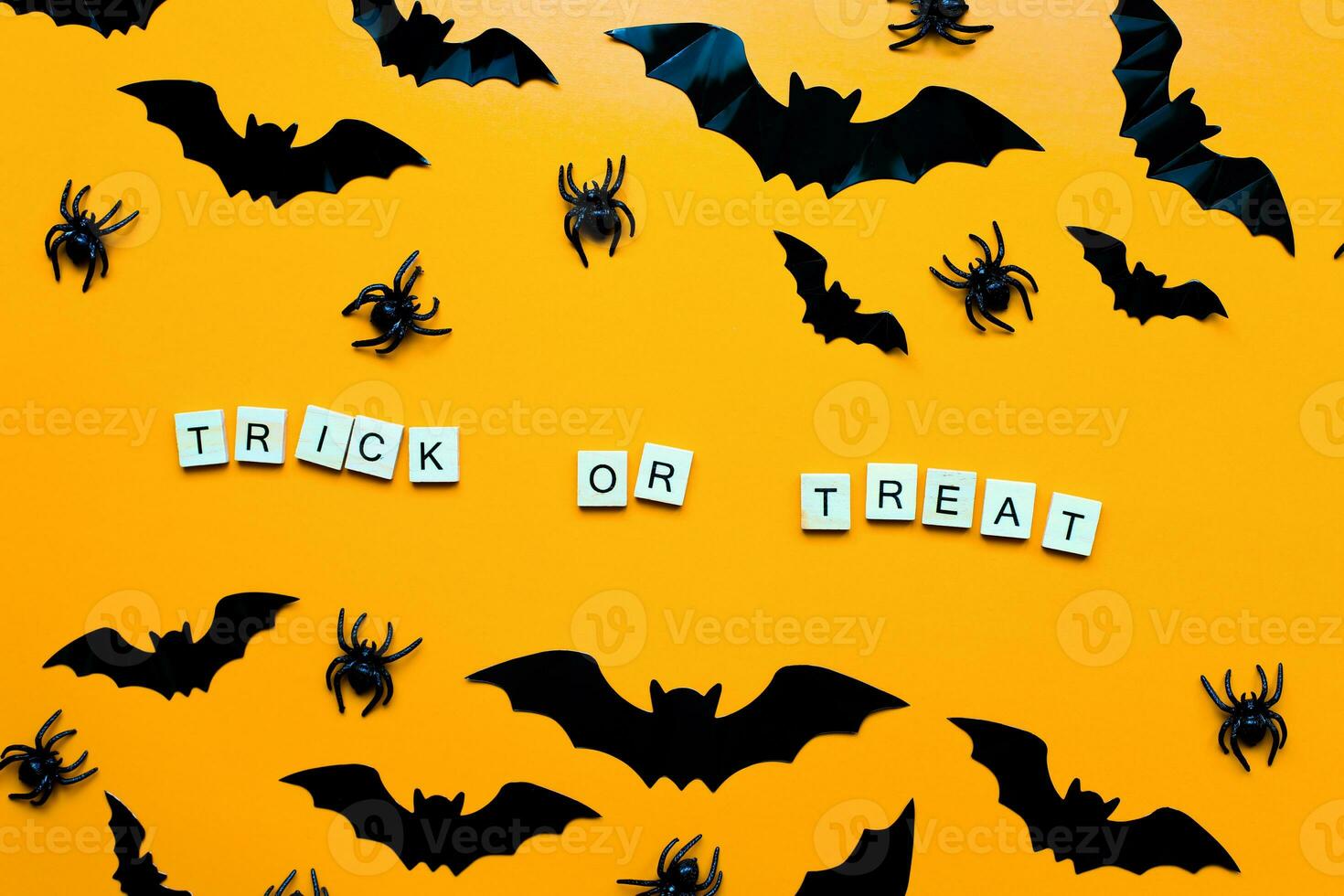 Trick or treat inscription. Flat lay halloween. The bats photo
