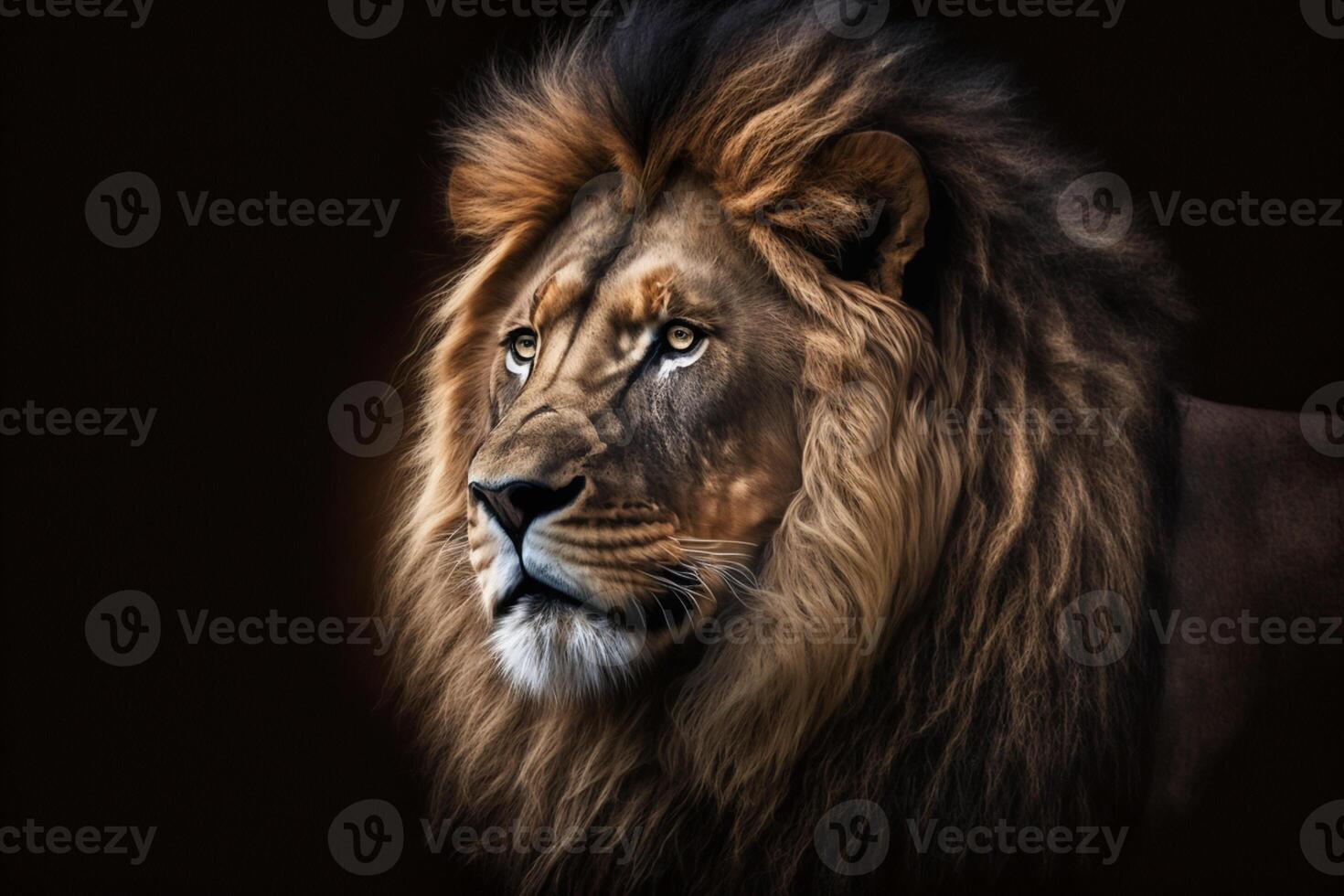 Portrait of a beautiful lion and copy space. Lion in dark photo