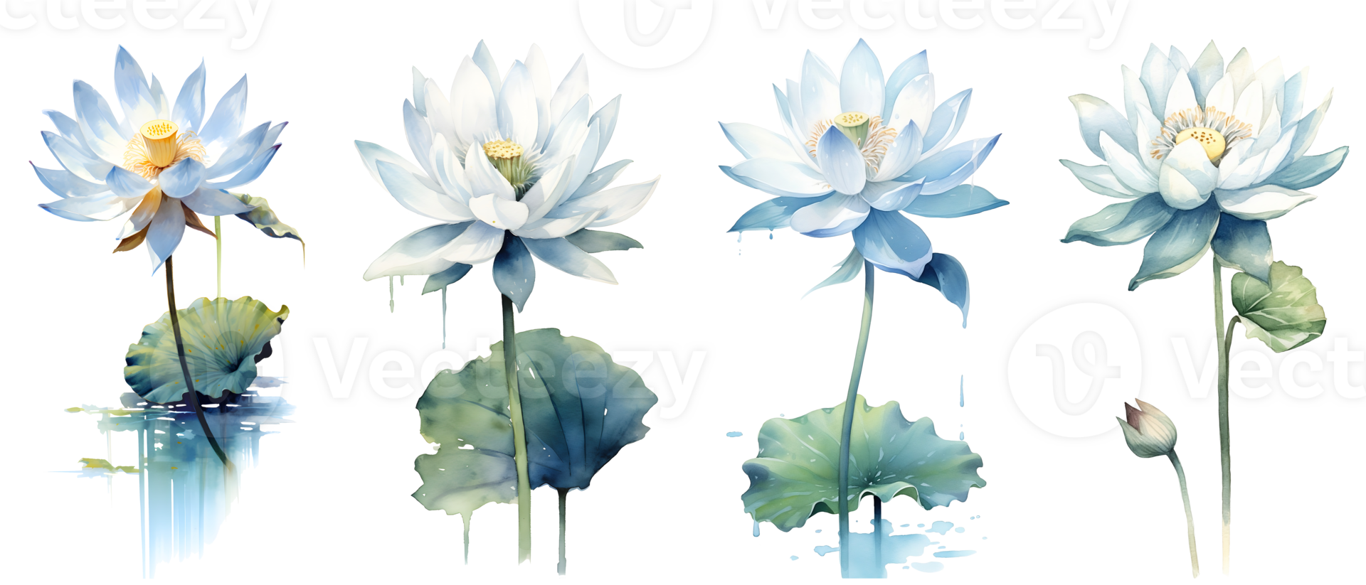 acuarela pintura en botánico estilo de blanco loto flores acortar arte, ai generativo png