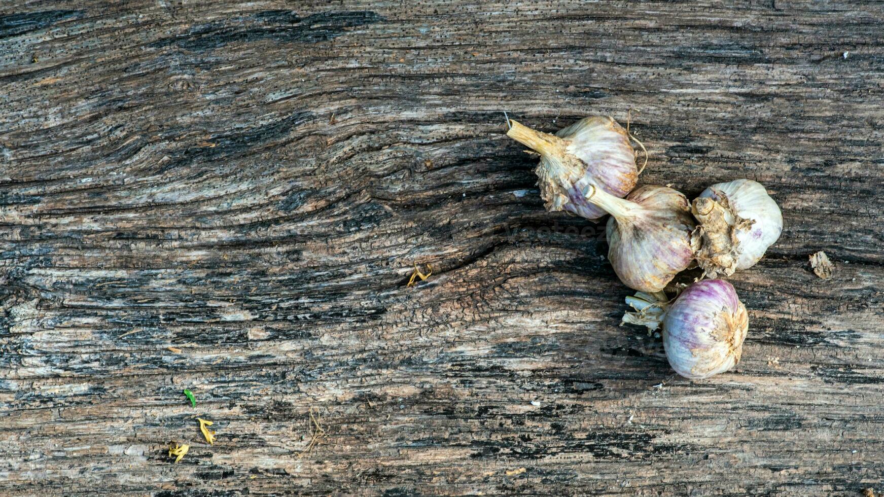 Garlic cloves pile closeup. Garlic clove group on wood rustic table background side view photo