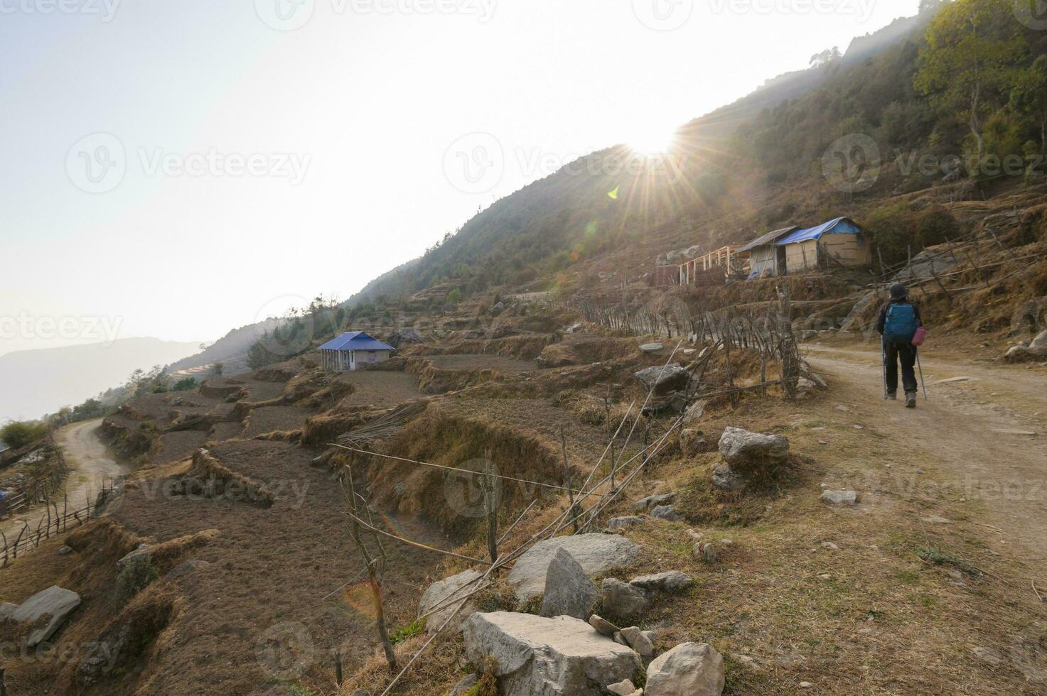 A young traveller trekking on forest trail , Nepal photo