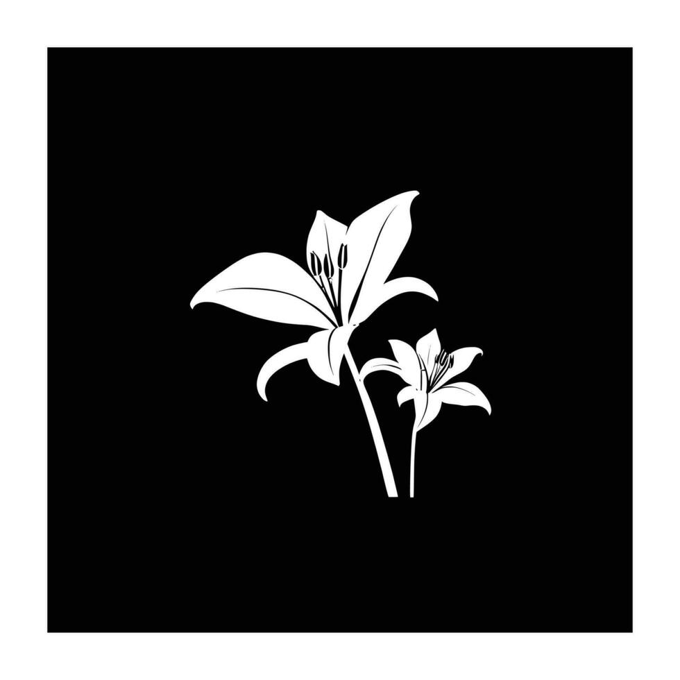 Lily flower line art Vector