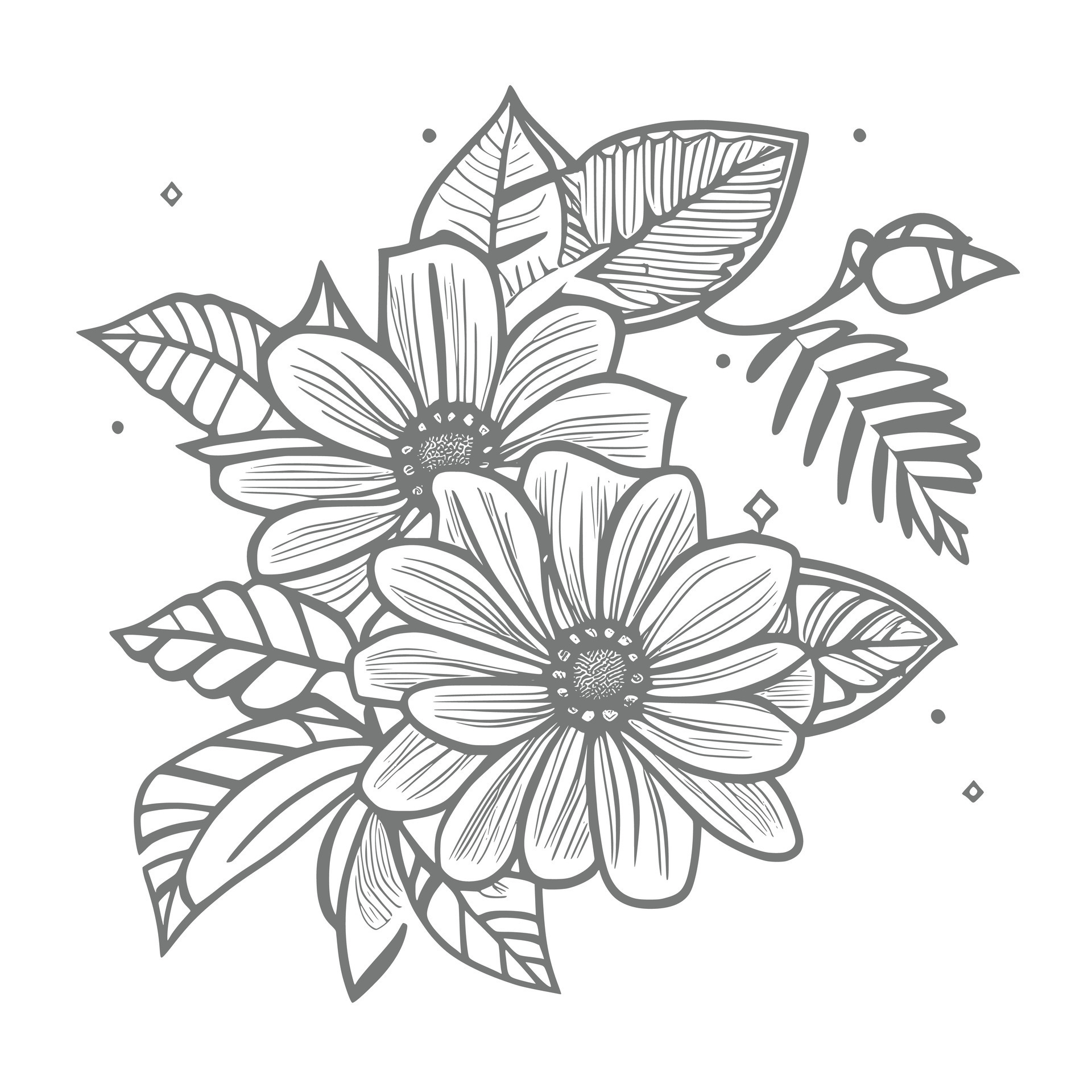 isolated daisy line art floral clipart Vector 24846336 Vector Art at Vecteezy