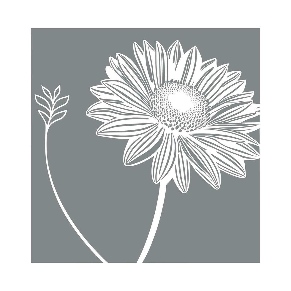 sunflower line art Vector