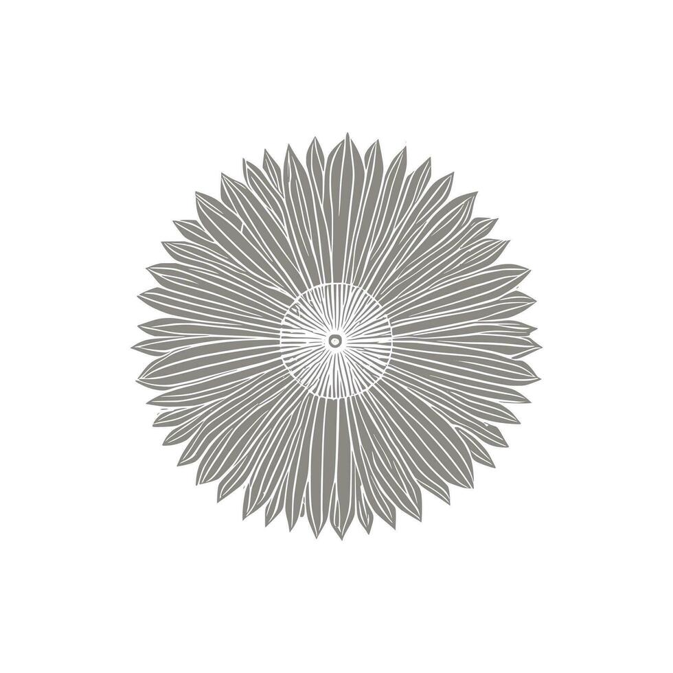 sunflower line art Vector