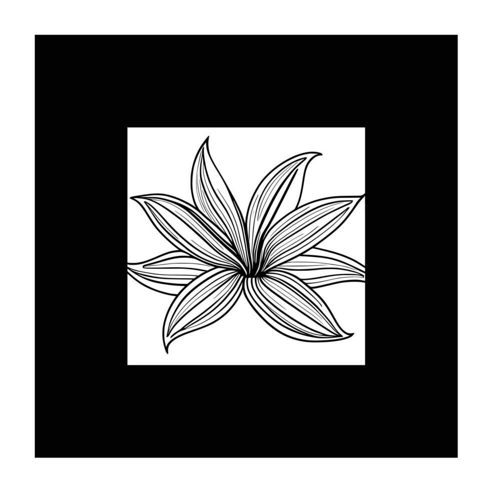 Lily flower line art Vector