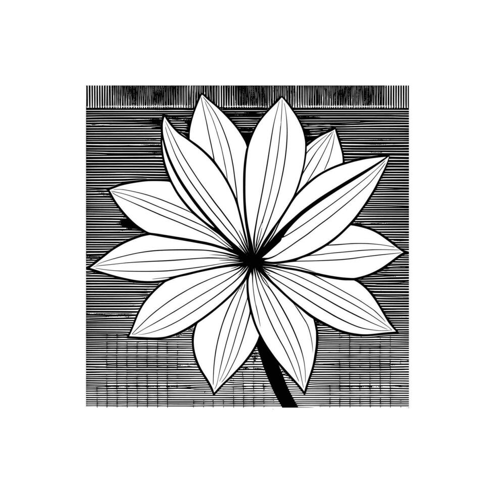 Lily flower line art Vector