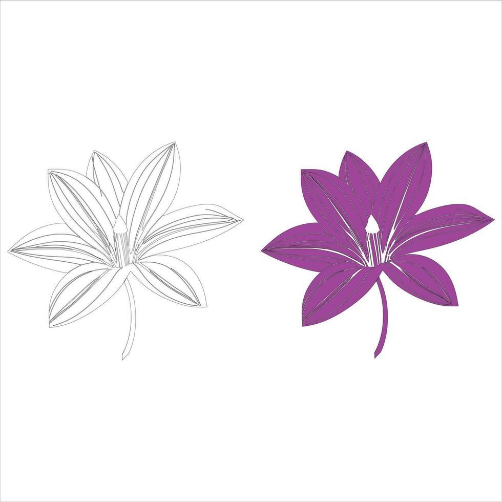 Lily flower line art Vector