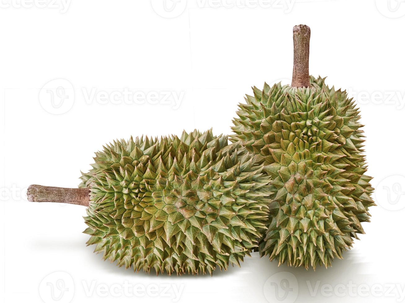 Durian, transparent background png
