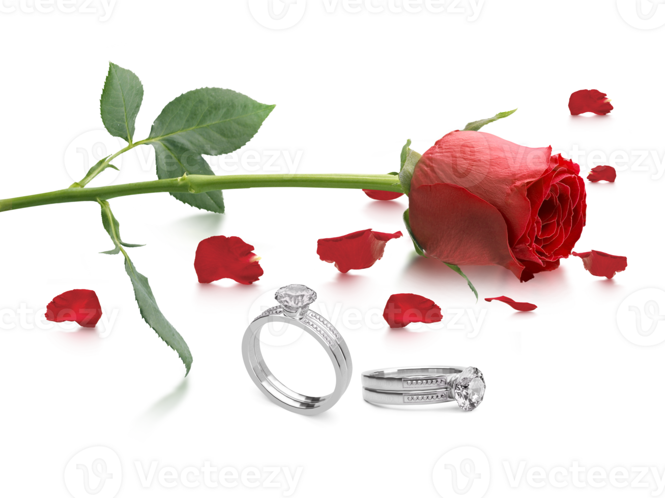 Red rose with elegant diamond ring. on transparent background png