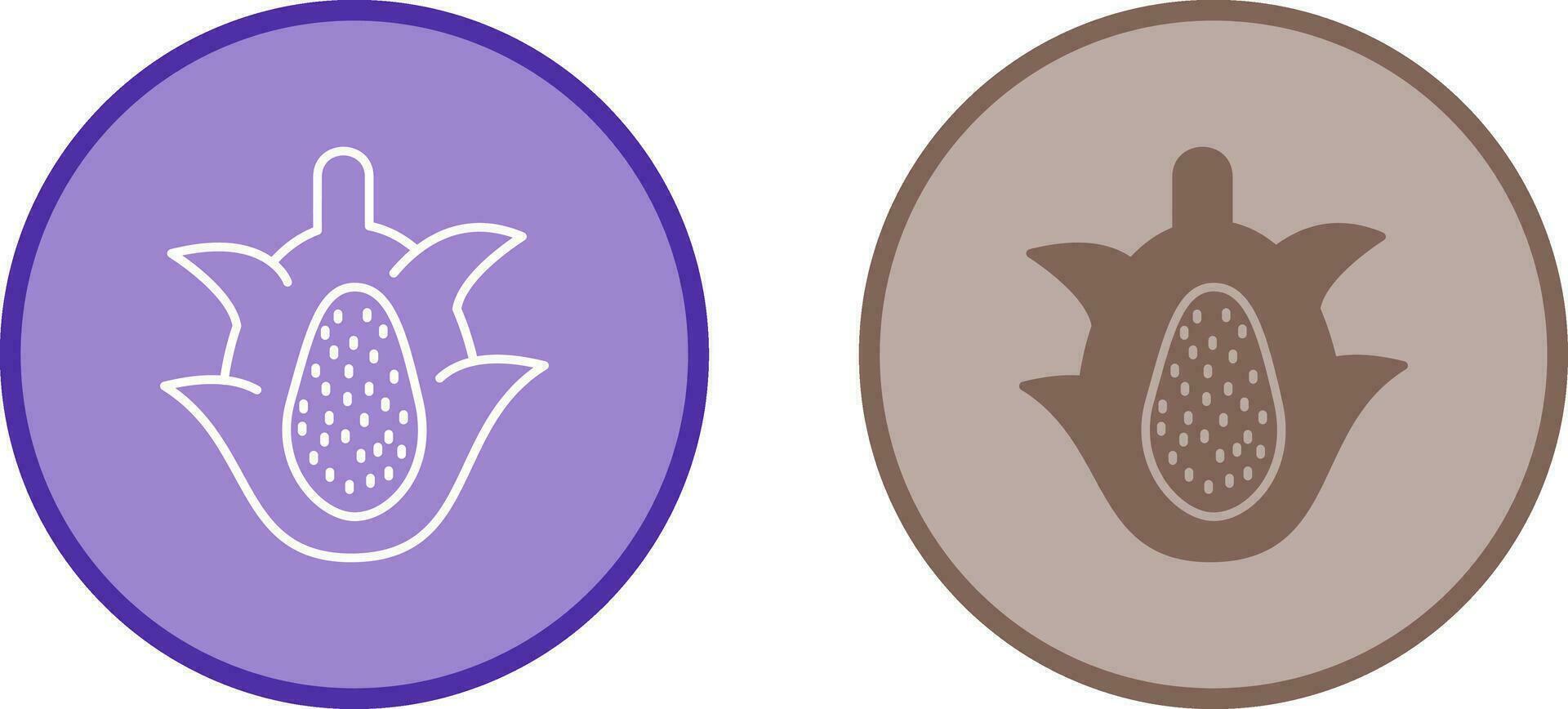 Dragon Fruit Vector Icon