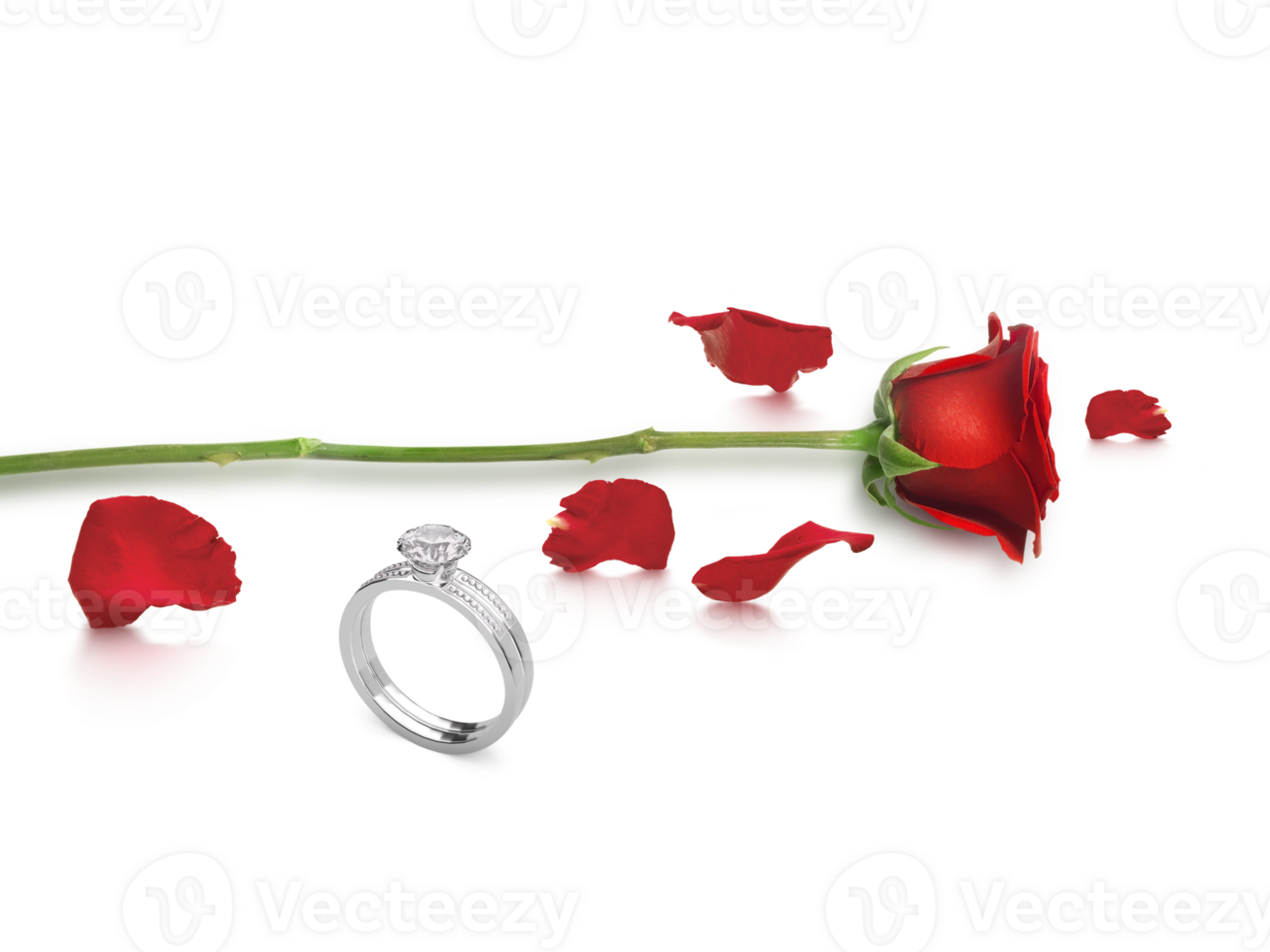 Red rose with elegant diamond ring. on transparent background png