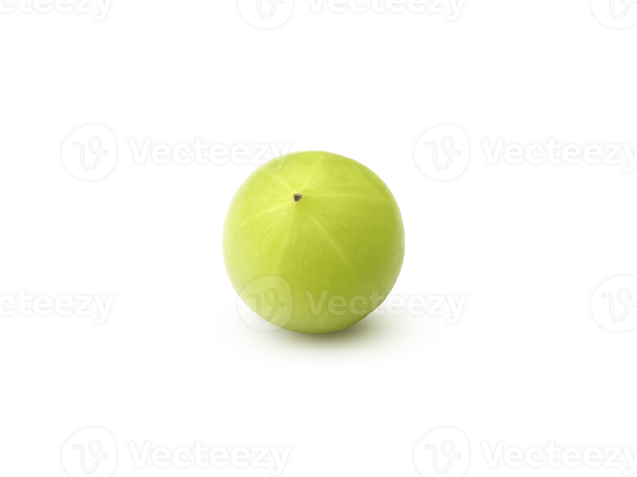 Indian gooseberry Phyllanthus emblica amla fruits green transparent background png