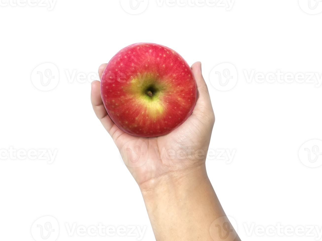 apple in hand, transparent background png