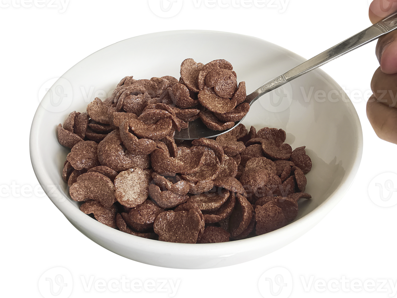 cereal dry breakfast in a plate, transparent background png