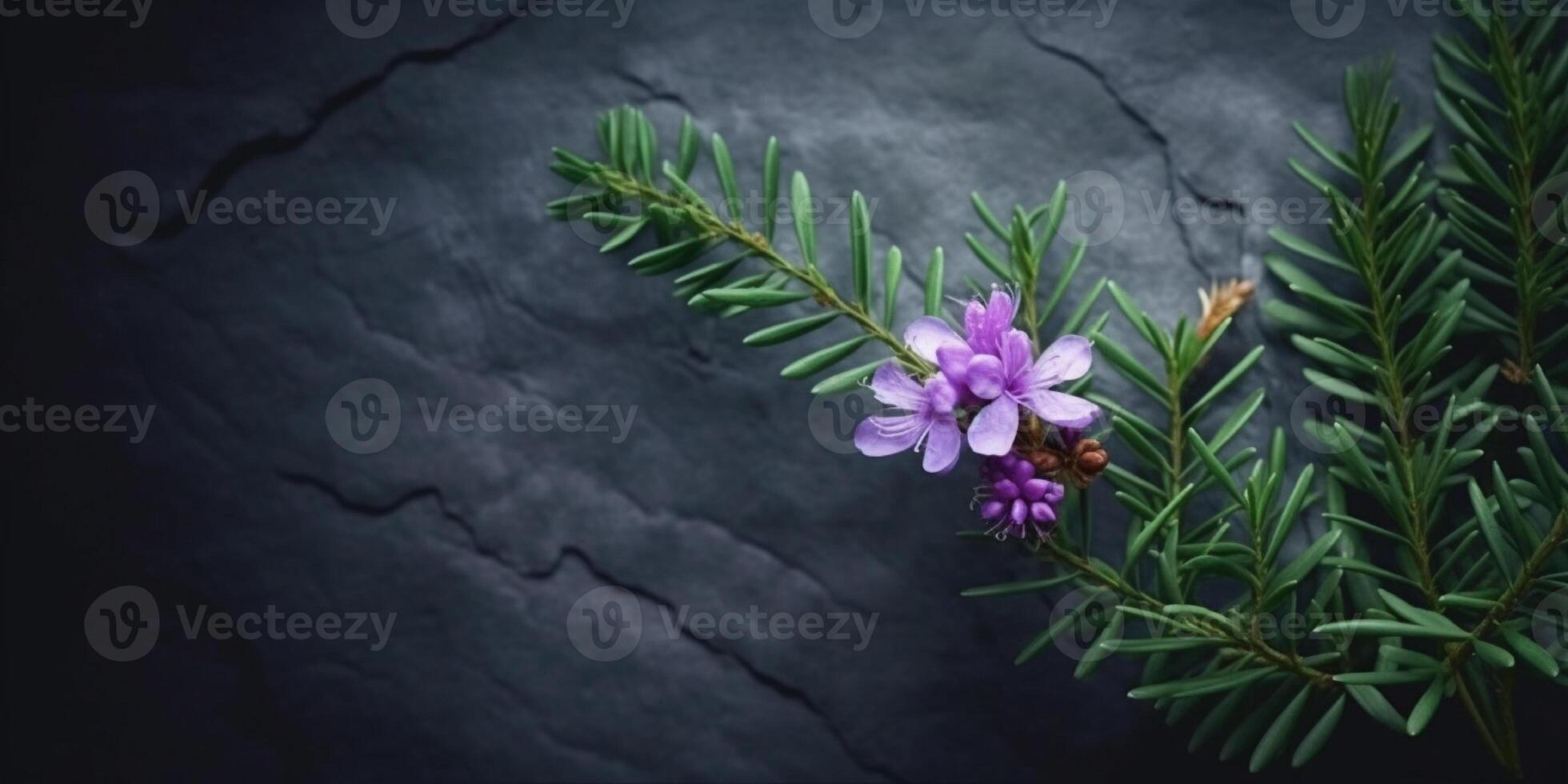 Beauty yew flower, garden decoration, copy space blurred background, Generative AI photo