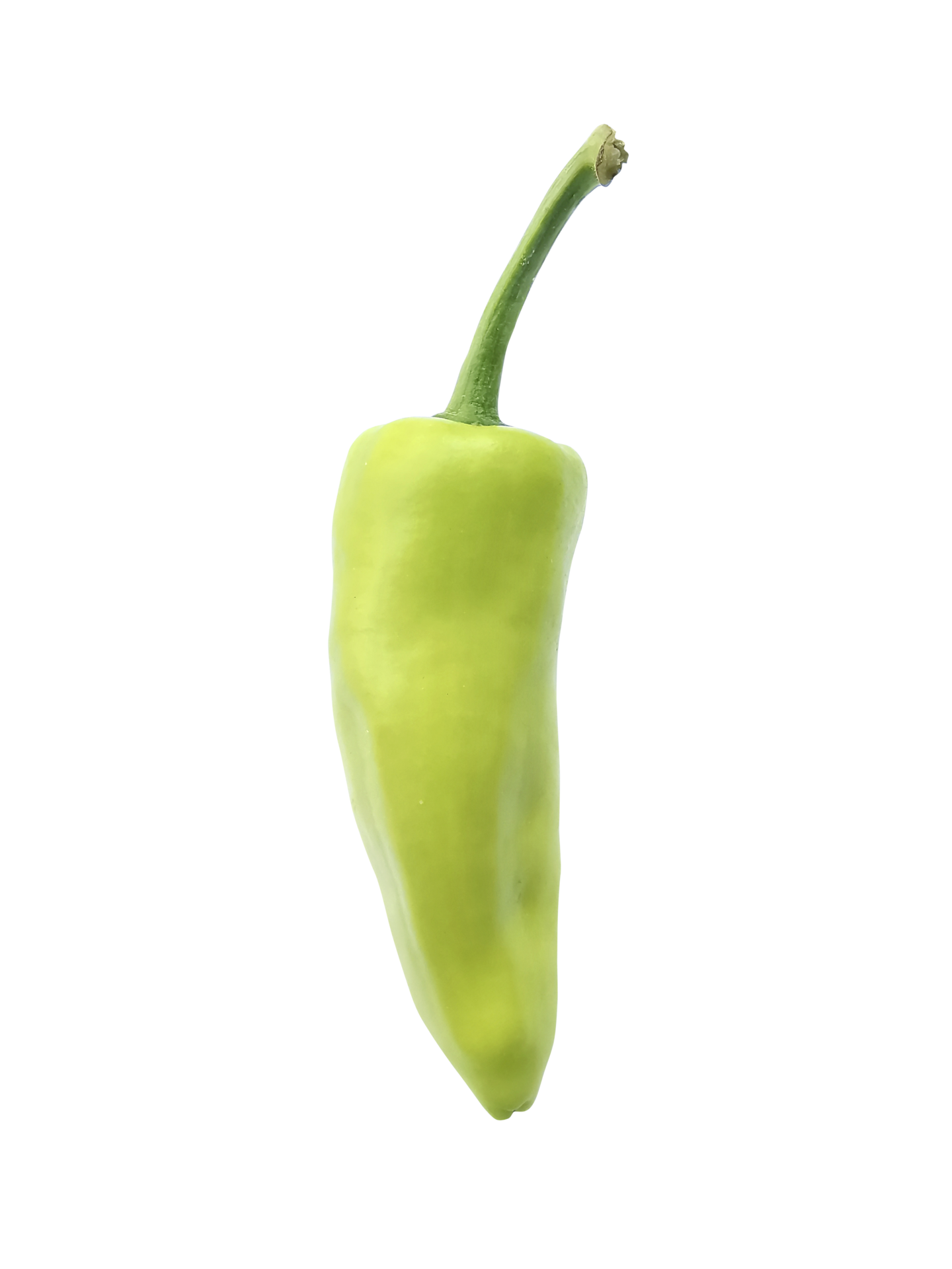 green chili pepper, transparent background 24852100 PNG