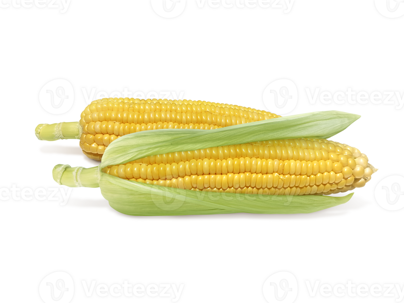 Corn, transparent background png