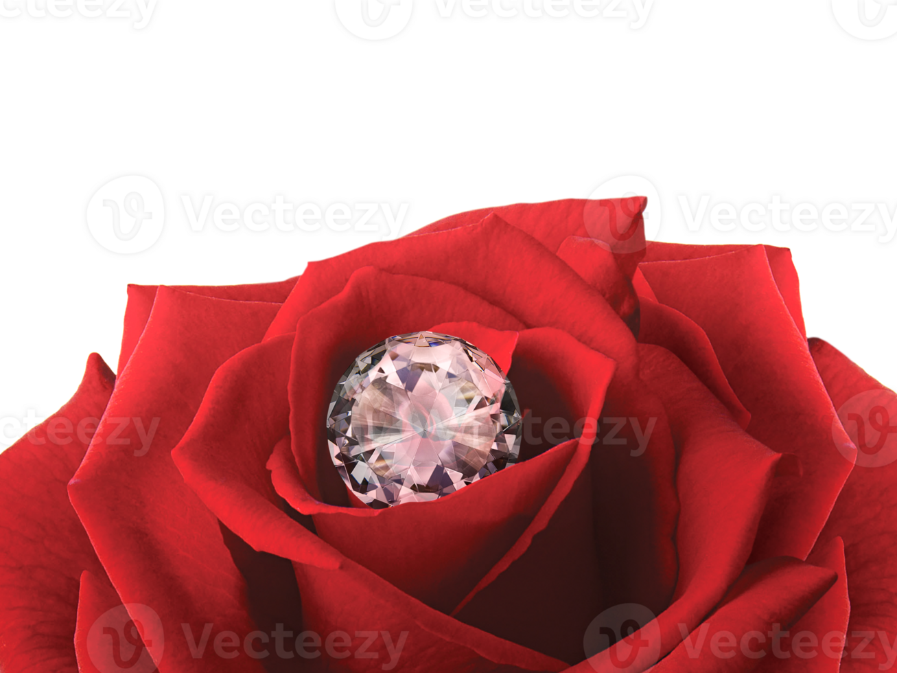 Diamond on a Rose Flower, transparent background png