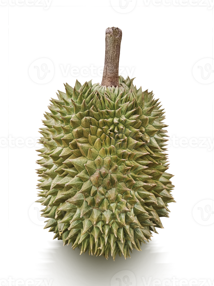 Durian, transparent background png