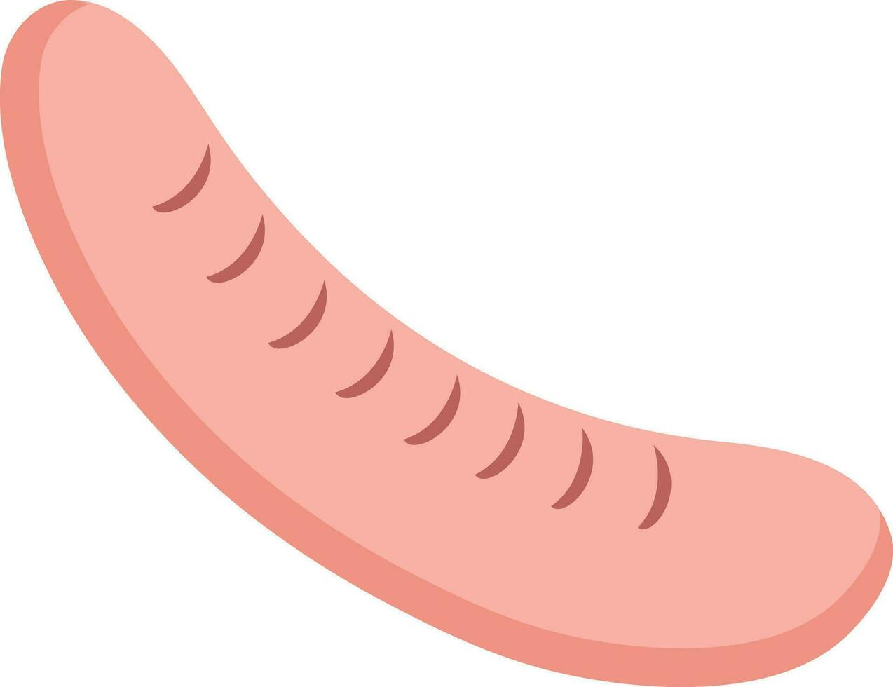 Illustration of sausage. vector