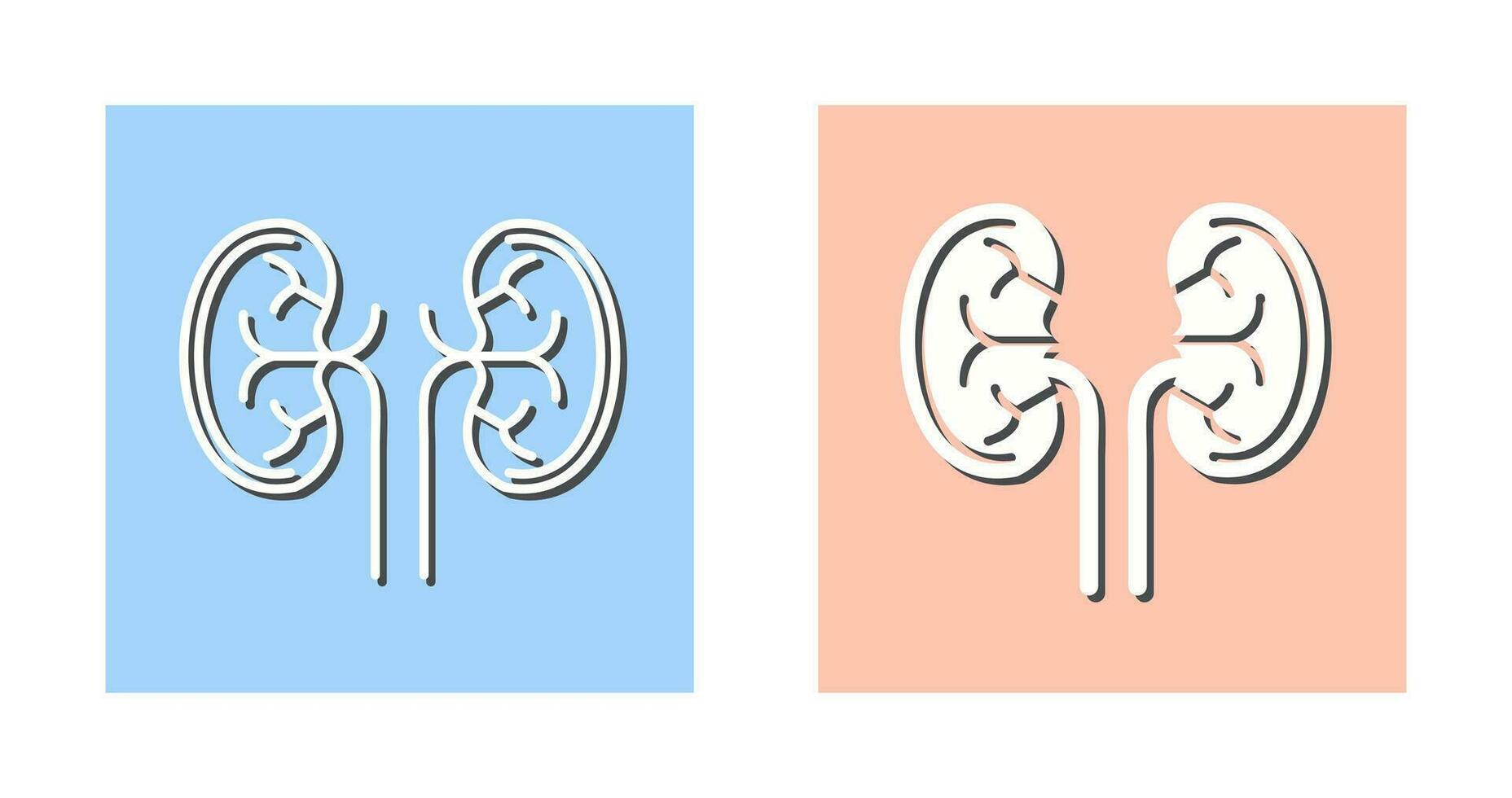 Kidney Vector Icon