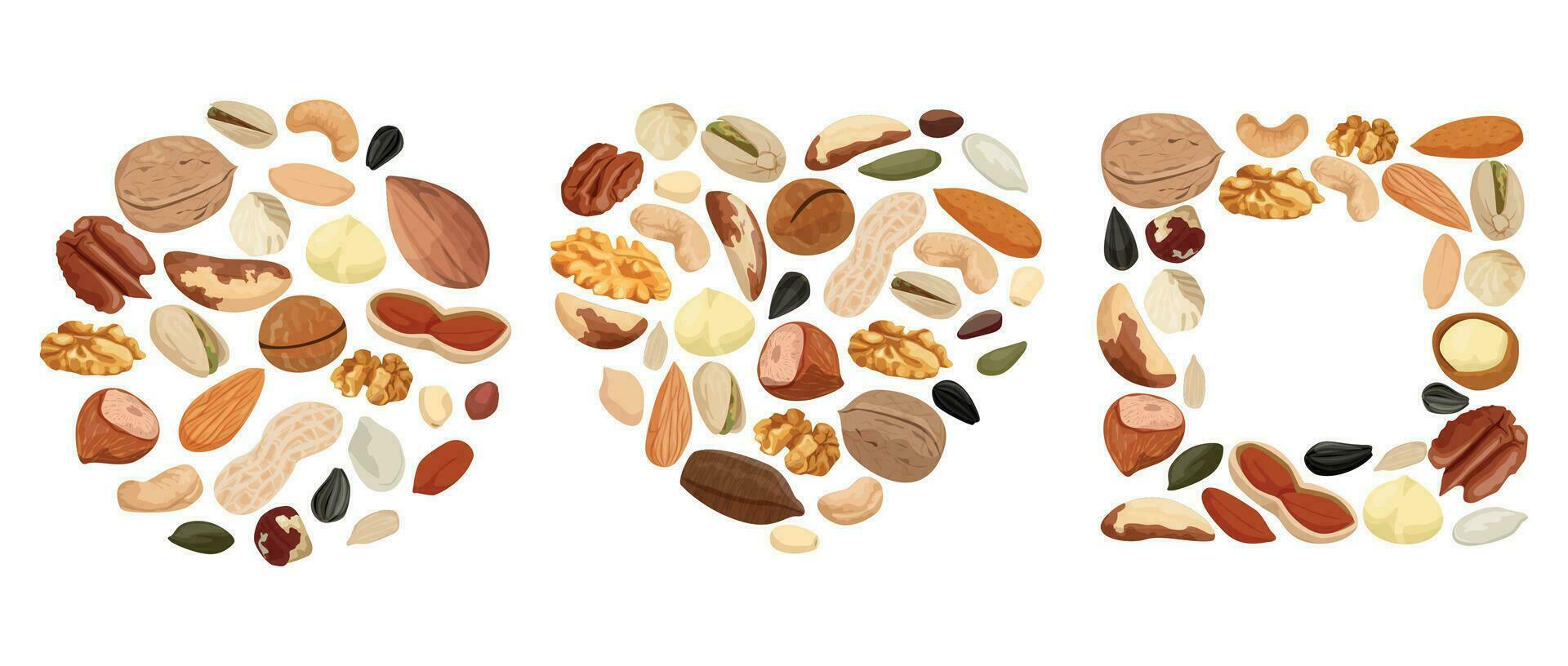 Nuts Seeds Shape Set vector