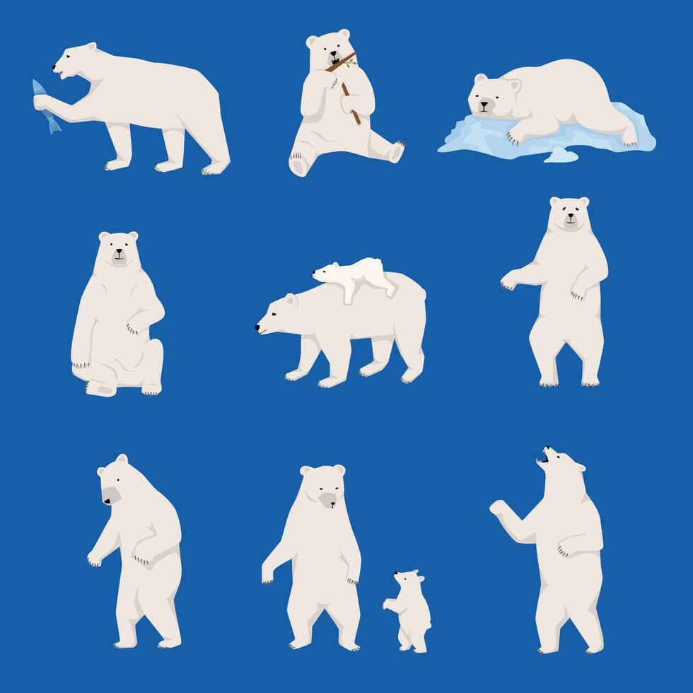 Grizzly Bears Flat Set vector