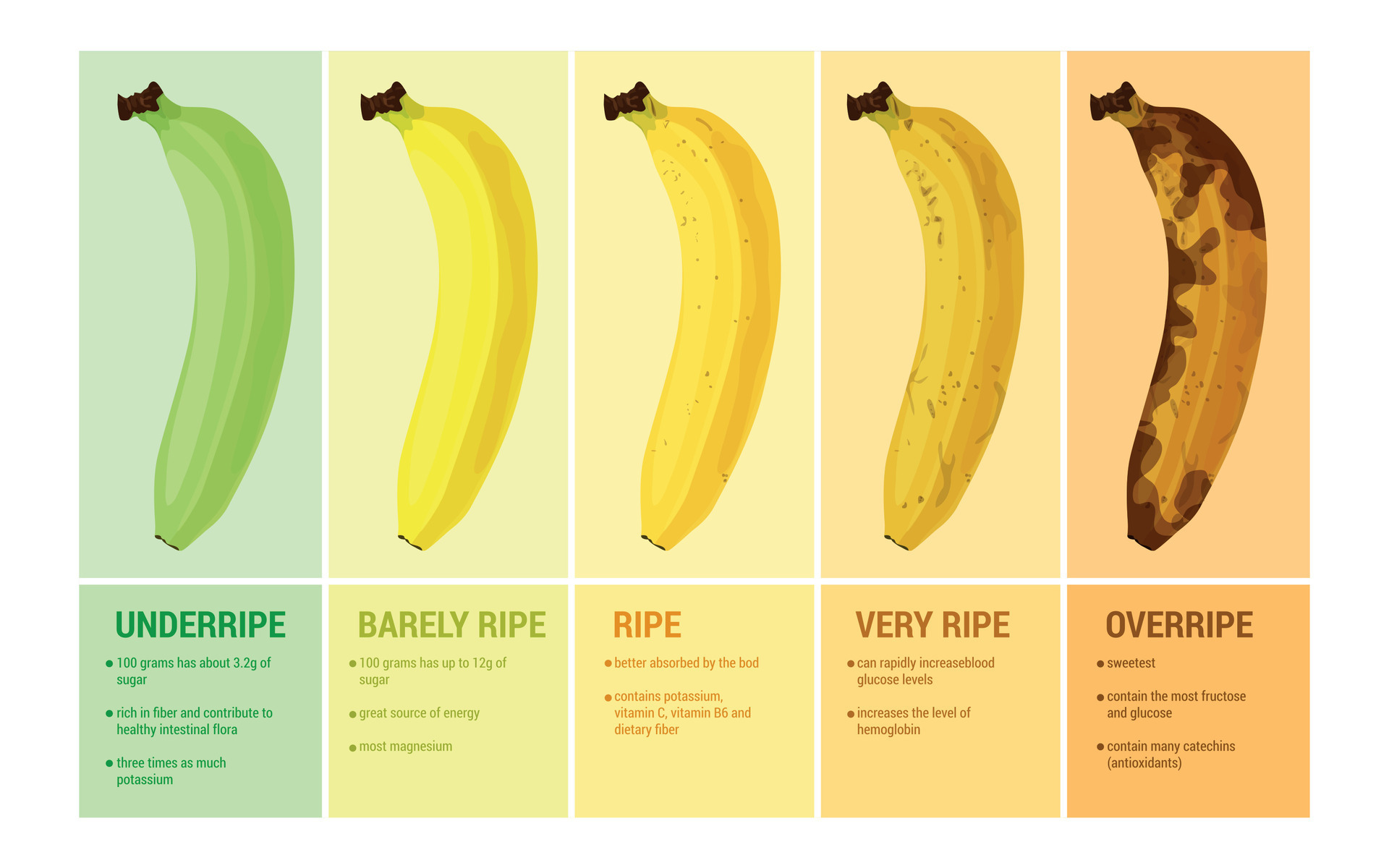 Banana Ripeness Compositions Set 24853477 Vector Art At Vecteezy Banana Ripeness Compositions Set 24853477 Vector Art At Vecteezy