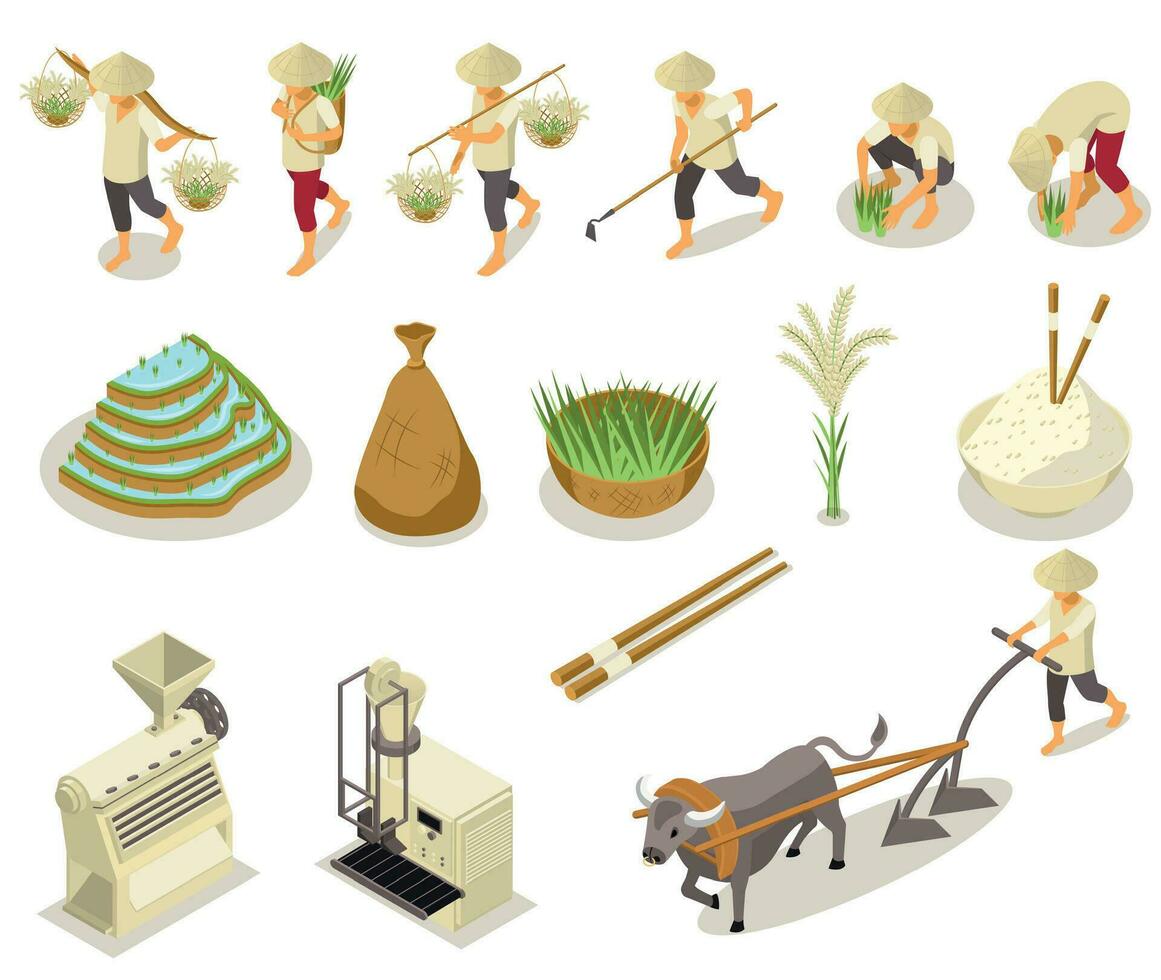 Rice Production Icon Set vector