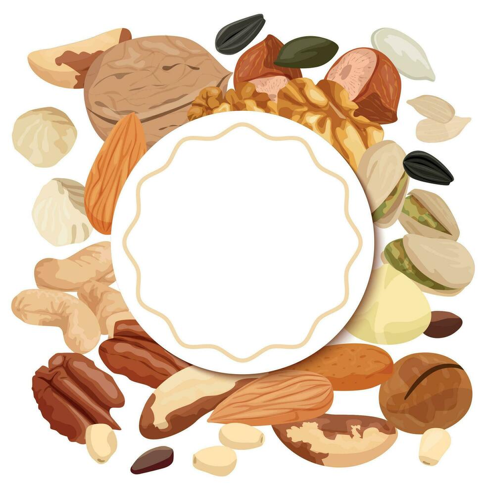 Nuts Circle Frame Composition vector