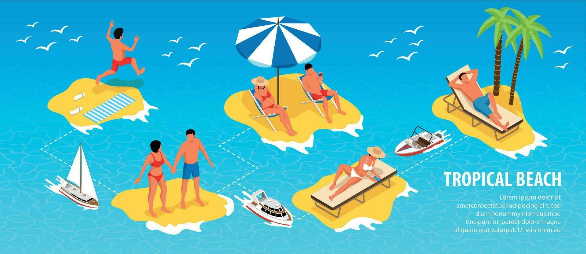 Tropical Beach Isometric Infographics vector