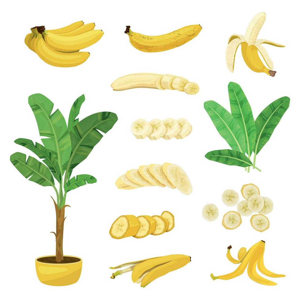 plátano plano íconos colección vector