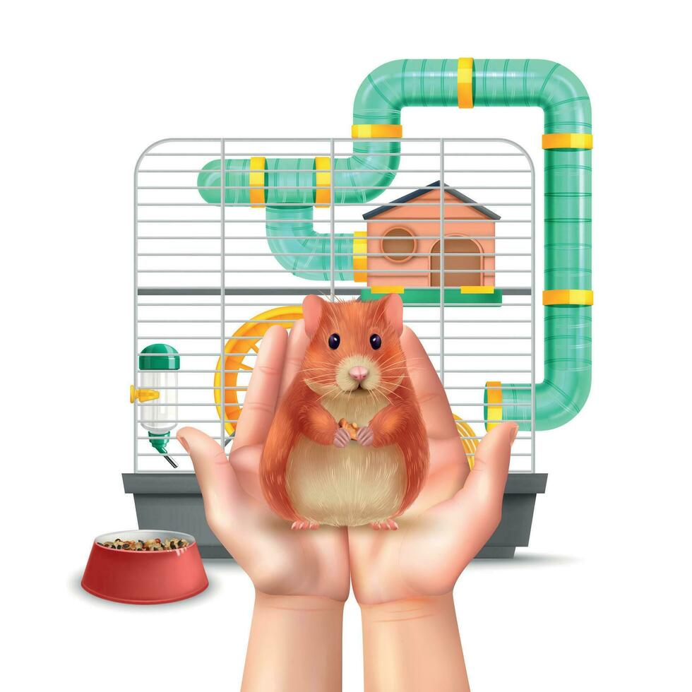 Realistic Hamster Composition vector