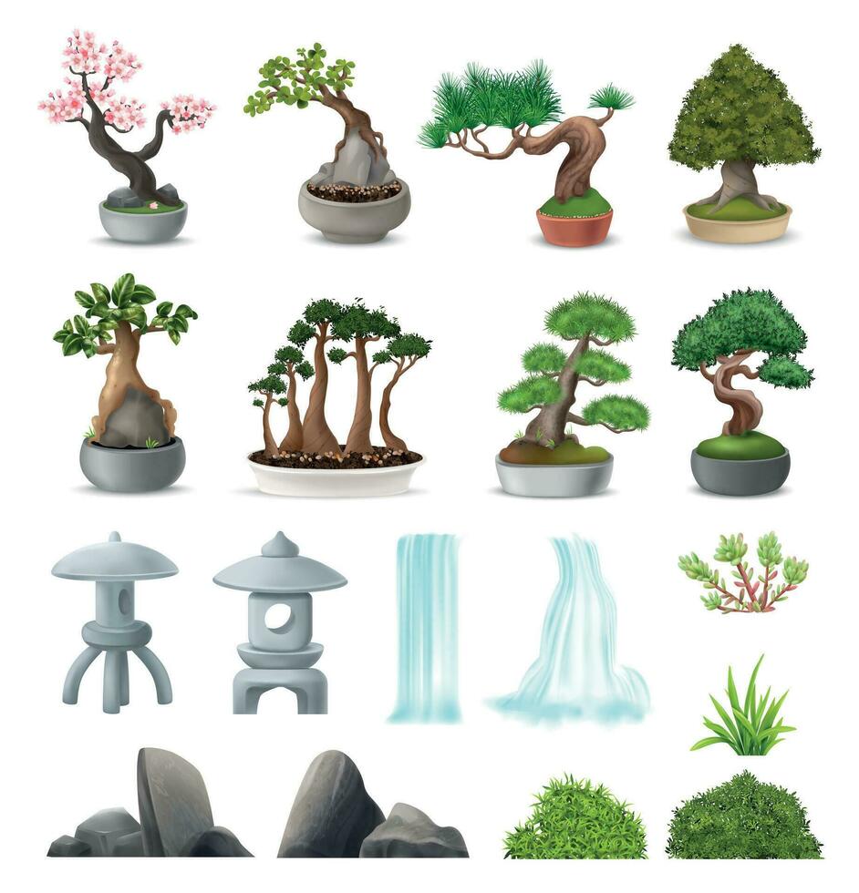 Bonsai Tree Set vector