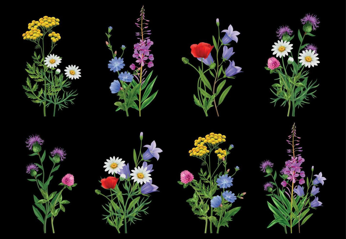 Realistic Wildflowers Set vector