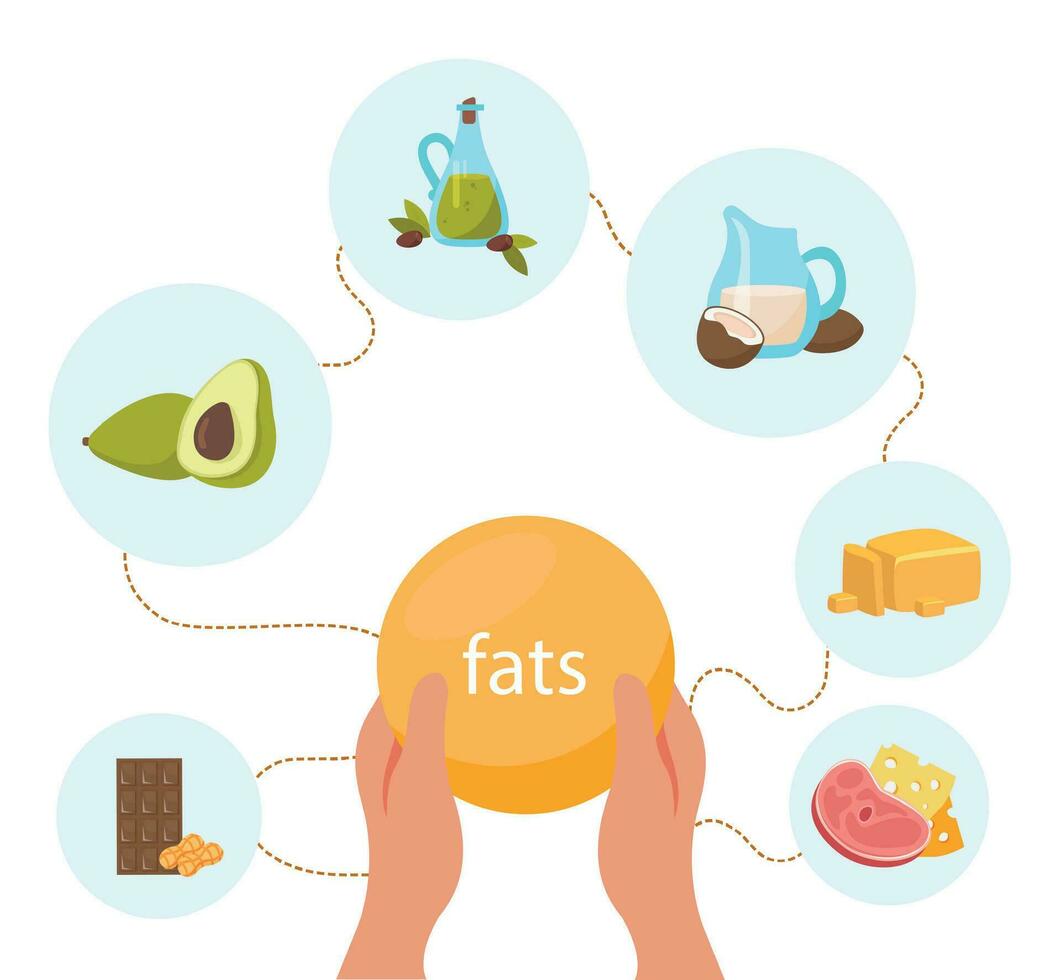 Macronutrients Flat Compositions Set vector