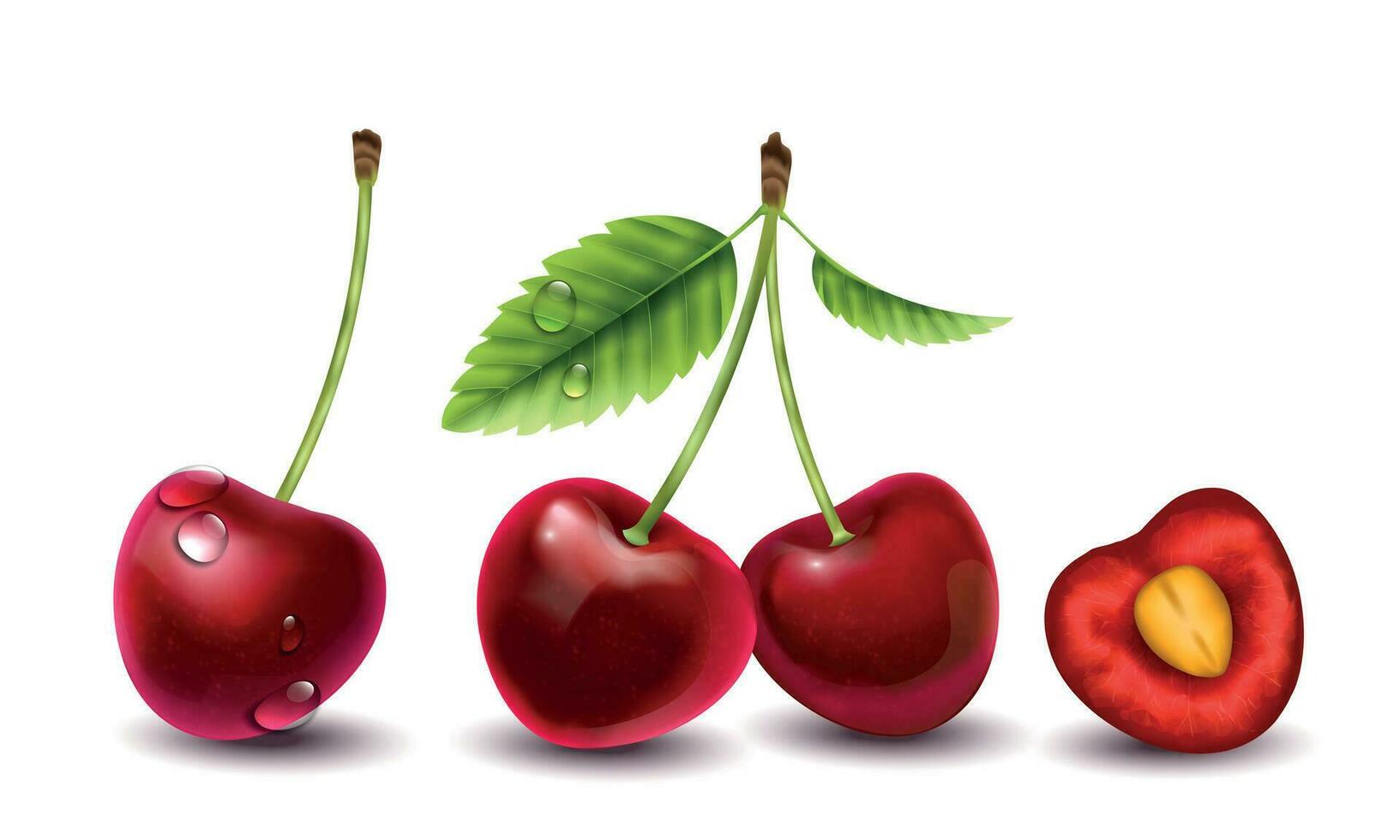 Realistic Cherry Berries Composition vector