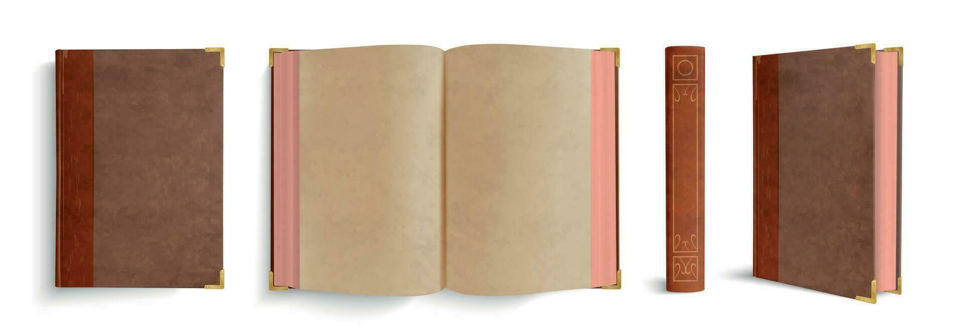 Old Book Mockup Set vector