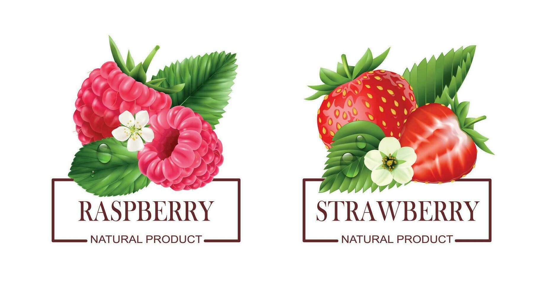 Berry Labels Realistic Set vector