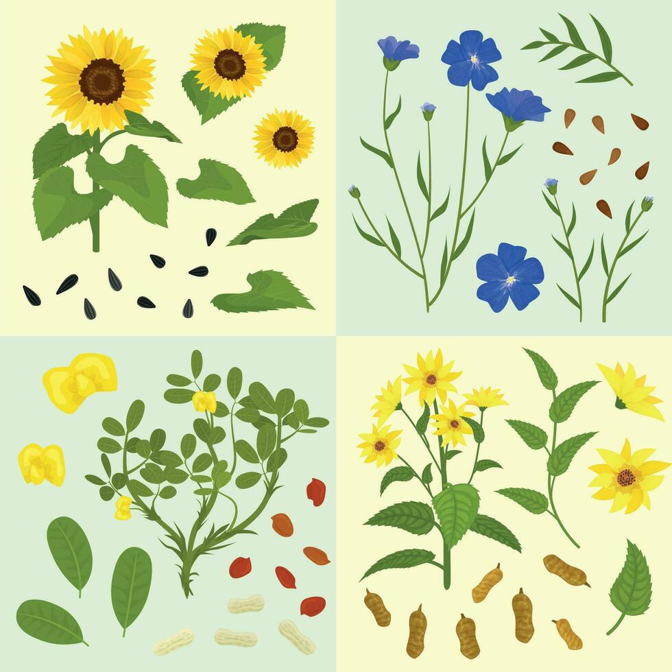 Technical Flowers Seed Compositions vector