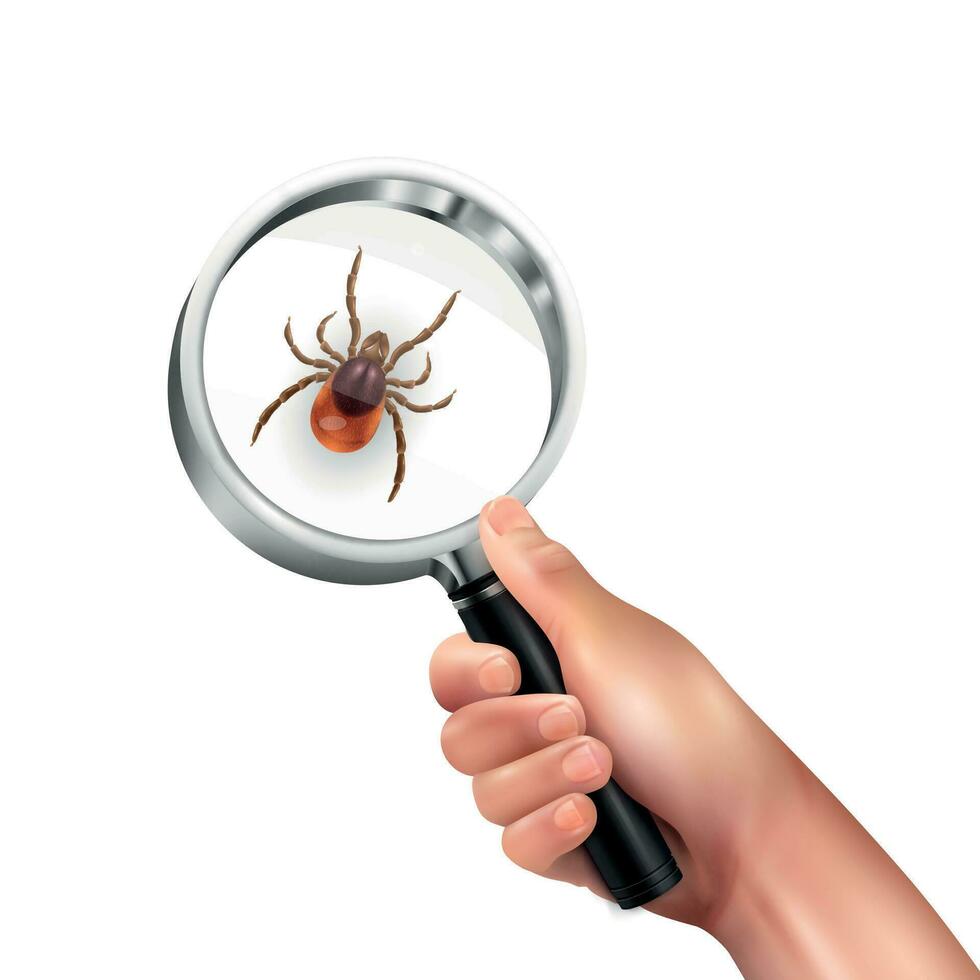 Realistic Spider Mite Lens Composition vector