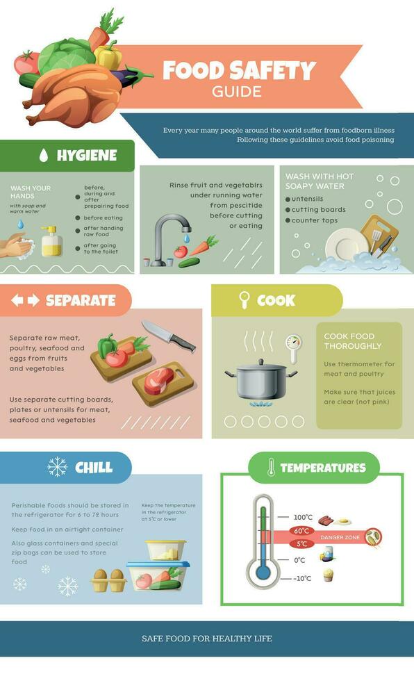 Food Safety Guide Infographic Stock Illustration - Download Image