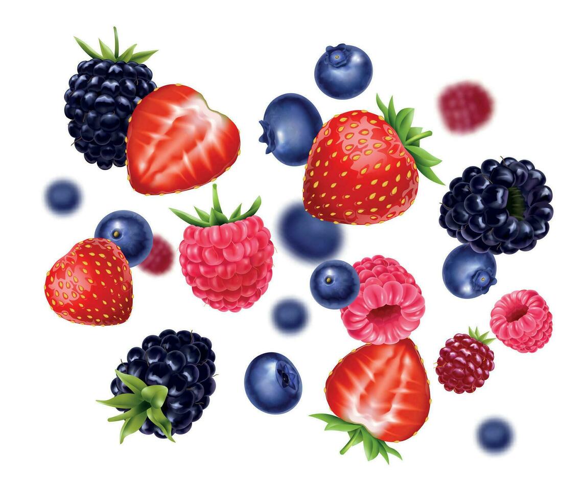 Realistic Flying Berries vector